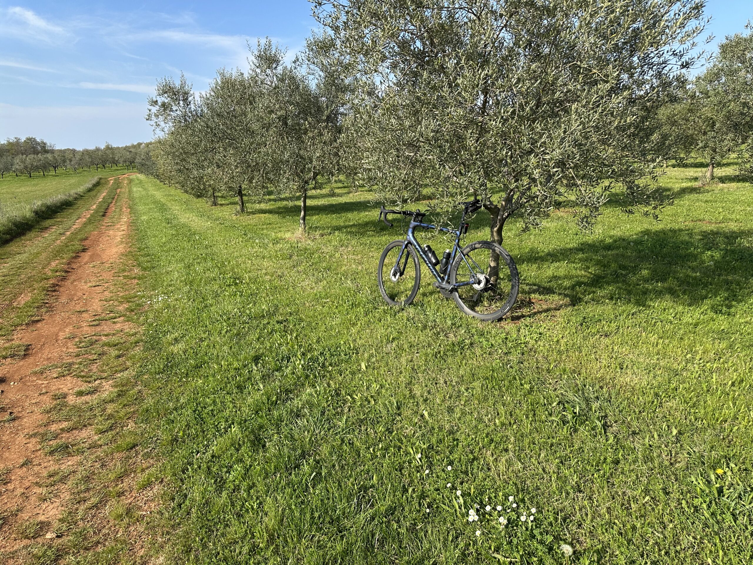 Piran – Novigrad